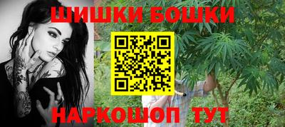 индика Ливны