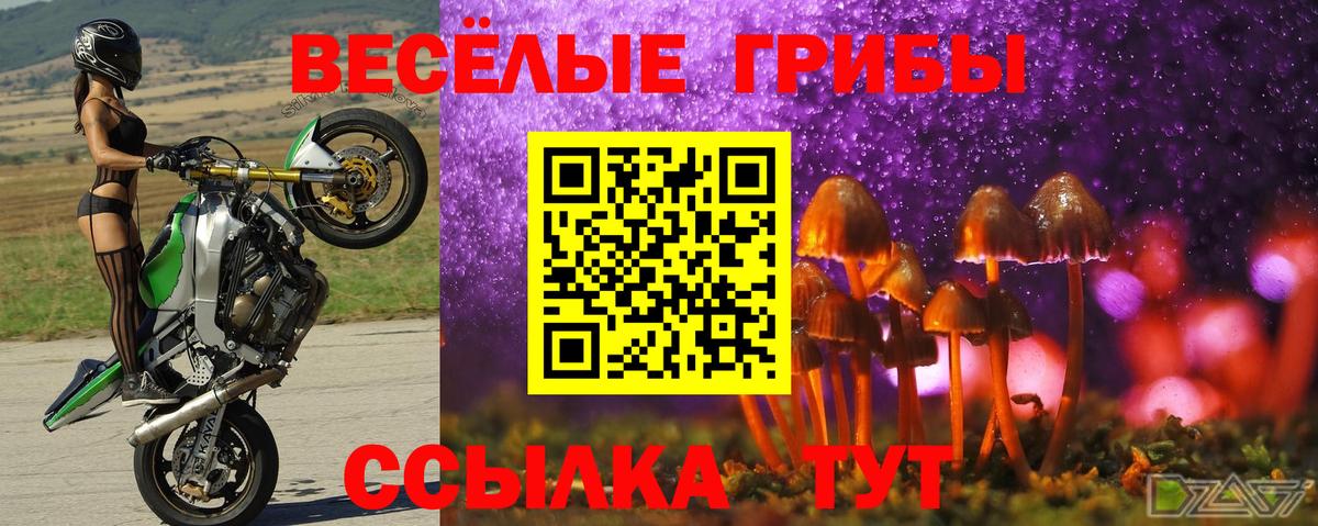 Галлюциногенные грибы Cubensis Ухта