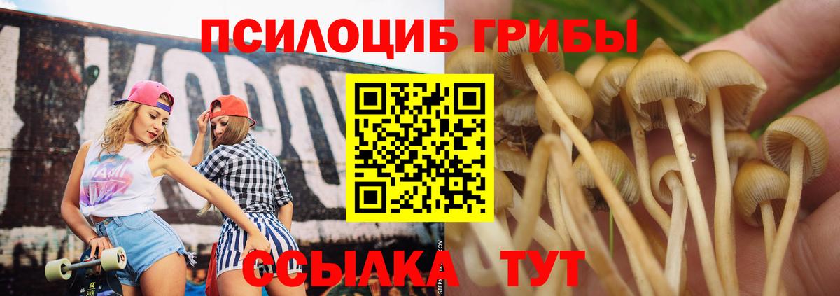 Ухта  Галлюциногенные грибы GOLDEN TEACHER  закладка  Вход с VPN 